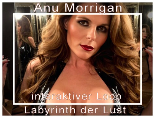 Labyrinth Der Lust Interaktive Erotische Hypnose